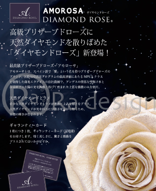 Radesign �O���t�B�b�N�f�U�C��