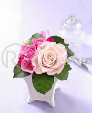 Radesign �ʐ^�B�e����